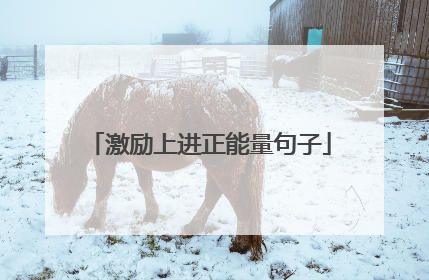 激励上进正能量句子