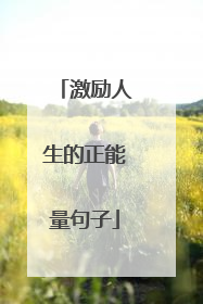 激励人生的正能量句子