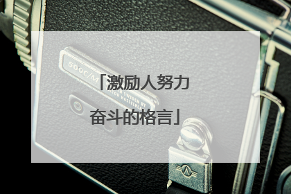 激励人努力奋斗的格言