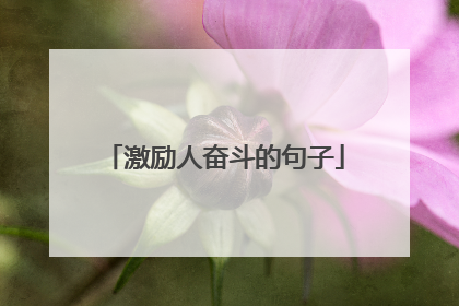 激励人奋斗的句子