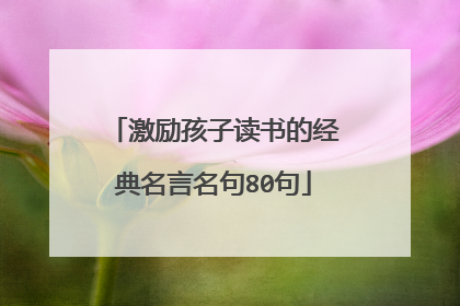 激励孩子读书的经典名言名句80句