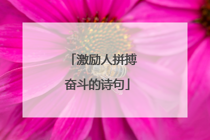 激励人拼搏奋斗的诗句