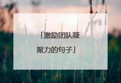 激励团队凝聚力的句子