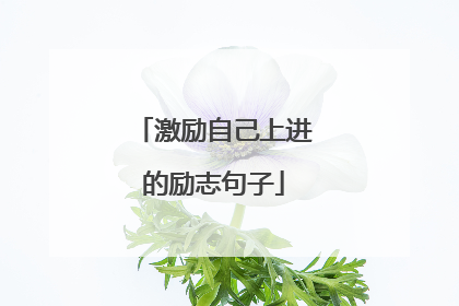 激励自己上进的励志句子