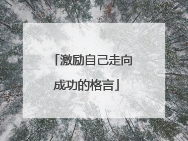 激励自己走向成功的格言