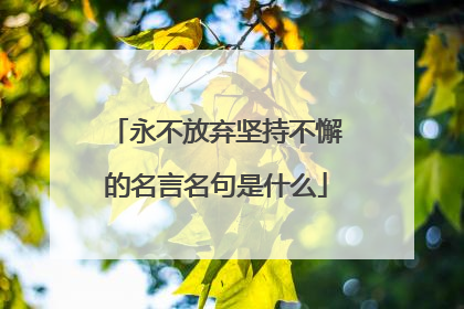 永不放弃坚持不懈的名言名句是什么