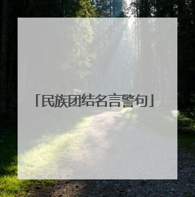 民族团结名言警句