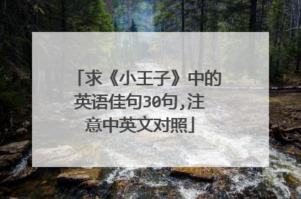 求《小王子》中的英语佳句30句,注意中英文对照
