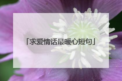 求爱情话最暖心短句