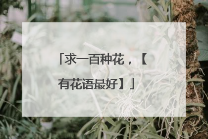 求一百种花,【有花语最好】