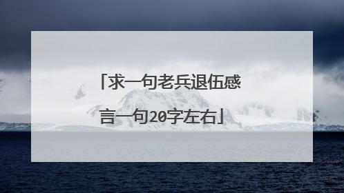 求一句老兵退伍感言一句20字左右