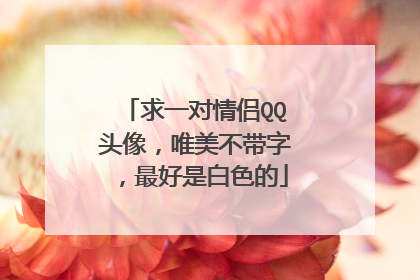 求一对情侣QQ头像,唯美不带字,最好是白色的