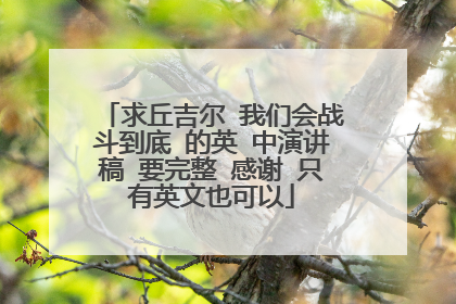 求丘吉尔 我们会战斗到底 的英 中演讲稿 要完整 感谢 只有英文也可以