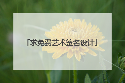求免费艺术签名设计