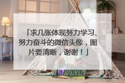 求几张体现努力学习、努力奋斗的微信头像,图片要清晰,谢谢!