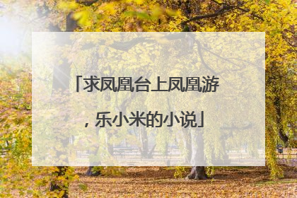求凤凰台上凤凰游，乐小米的小说