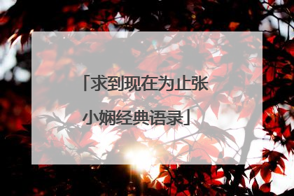 求到现在为止张小娴经典语录