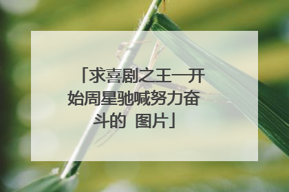 求喜剧之王一开始周星驰喊努力奋斗的 图片