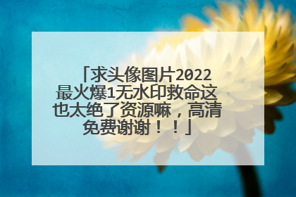 求头像图片2022最火爆1无水印救命这也太绝了资源嘛,高清免费谢谢!!