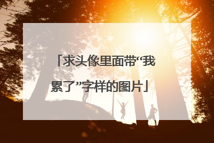 求头像里面带“我累了”字样的图片