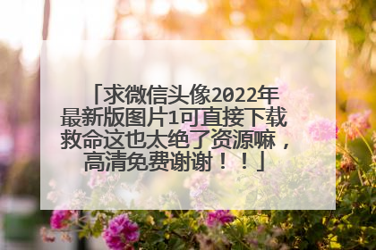 求微信头像2022年最新版图片1可直接下载救命这也太绝了资源嘛,高清免费谢谢!!