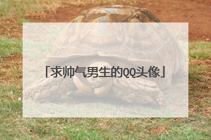 求帅气男生的QQ头像