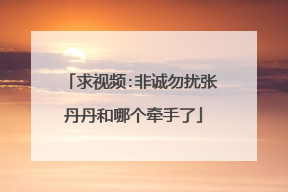 求视频:非诚勿扰张丹丹和哪个牵手了