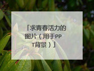 求青春活力的图片(用于PPT背景)