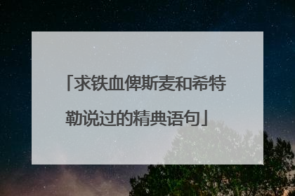 求铁血俾斯麦和希特勒说过的精典语句