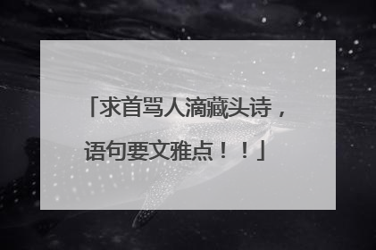 求首骂人滴藏头诗,语句要文雅点!!