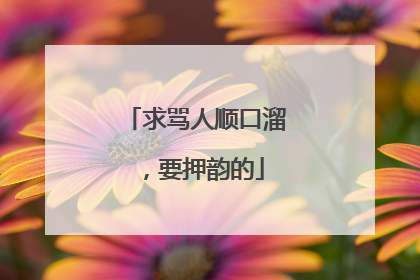 求骂人顺口溜,要押韵的