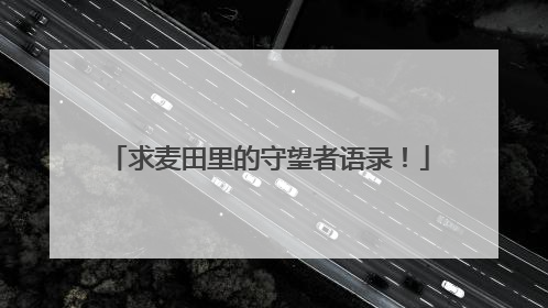 求麦田里的守望者语录!