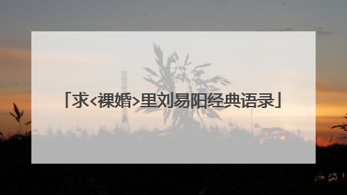 求<裸婚>里刘易阳经典语录