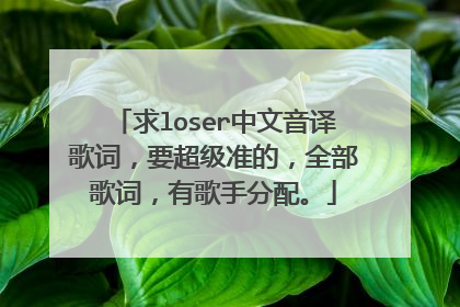 求loser中文音译歌词，要超级准的，全部歌词，有歌手分配。