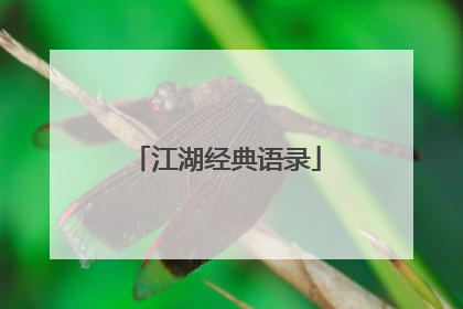 江湖经典语录