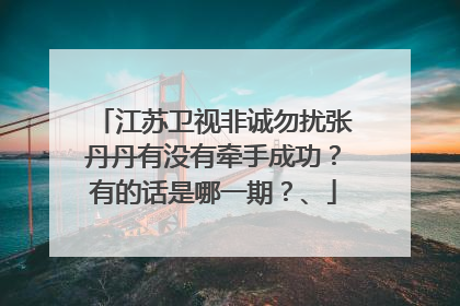 江苏卫视非诚勿扰张丹丹有没有牵手成功?有的话是哪一期?、