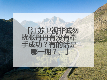 江苏卫视非诚勿扰张丹丹有没有牵手成功?有的话是哪一期?、
