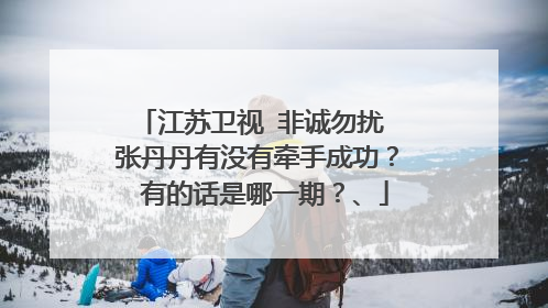 江苏卫视 非诚勿扰 张丹丹有没有牵手成功? 有的话是哪一期?、