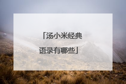 汤小米经典语录有哪些