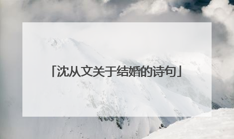 沈从文关于结婚的诗句