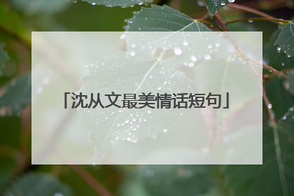 沈从文最美情话短句