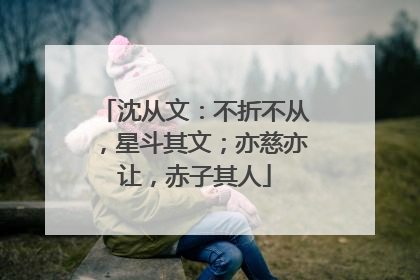 沈从文:不折不从,星斗其文;亦慈亦让,赤子其人
