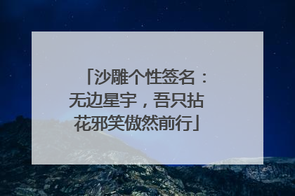 沙雕个性签名：无边星宇，吾只拈花邪笑傲然前行