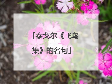 泰戈尔《飞鸟集》的名句