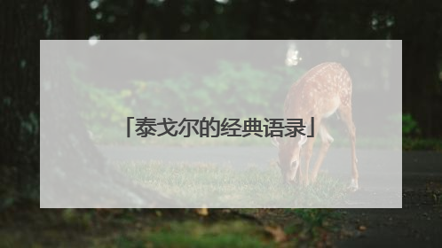 泰戈尔的经典语录