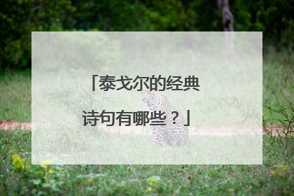 泰戈尔的经典诗句有哪些?