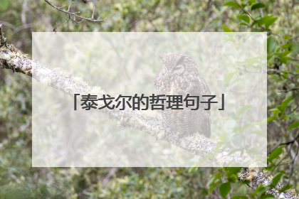 泰戈尔的哲理句子
