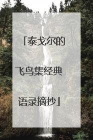 泰戈尔的飞鸟集经典语录摘抄