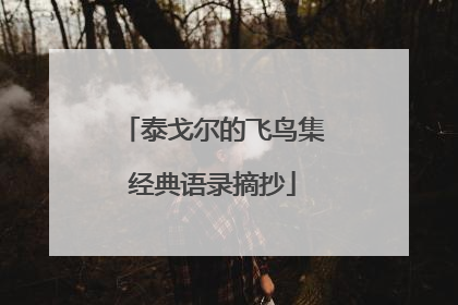 泰戈尔的飞鸟集经典语录摘抄