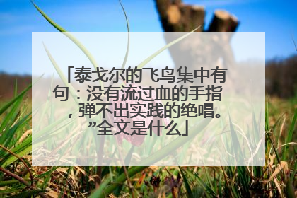 泰戈尔的飞鸟集中有句:没有流过血的手指,弹不出实践的绝唱。”全文是什么